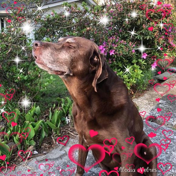 Meet your Posher, Tonya - Picture 1 of 1